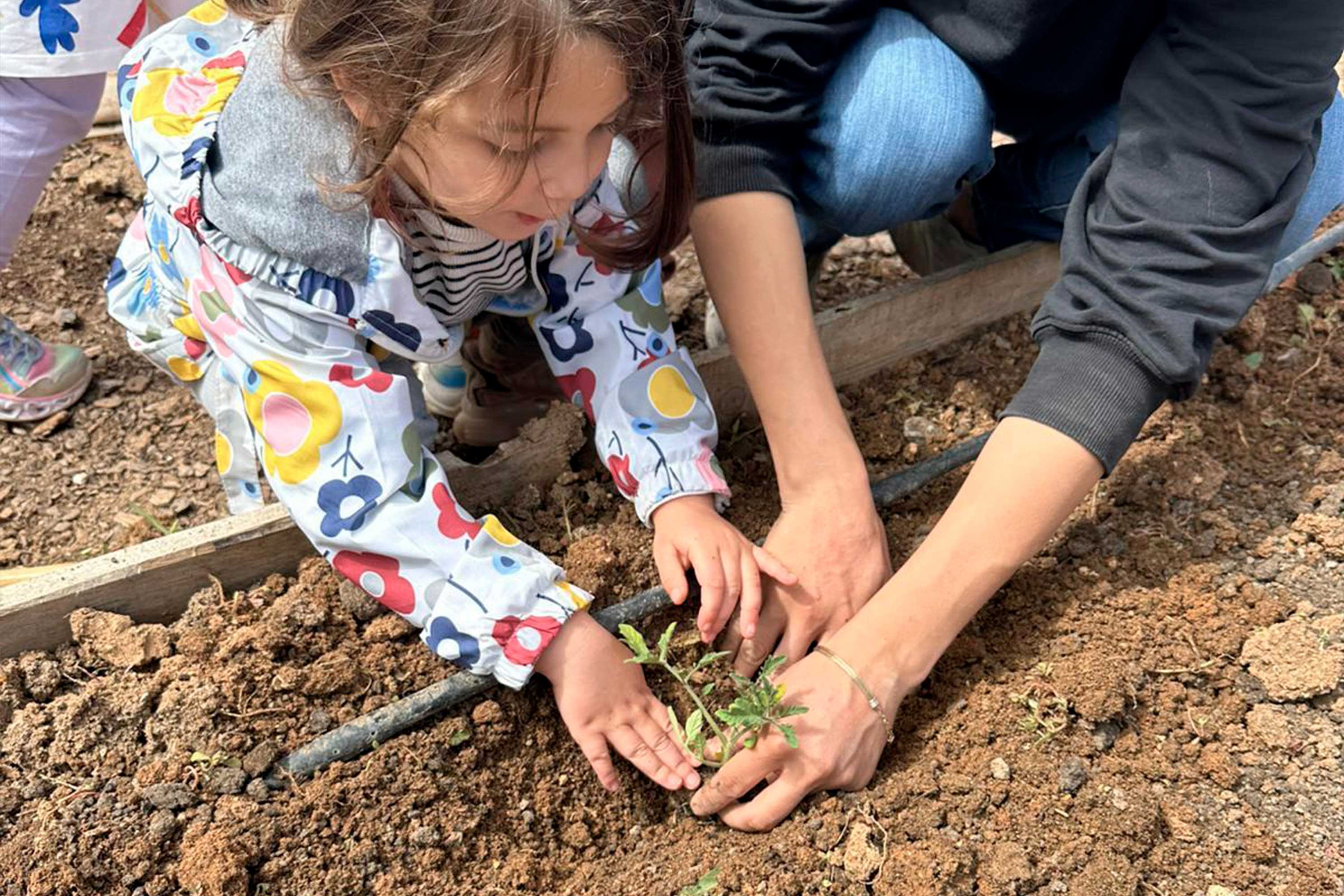 Zor zamanlarda çocukla bağ kurmanın yolları | Hasat Anaokulu